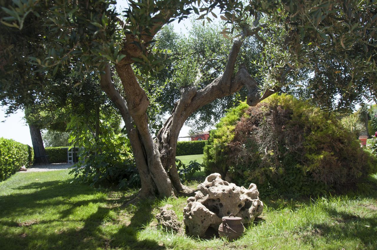 Hotel Rural Cal Ruget Vilobi Del Penedes Buitenkant foto
