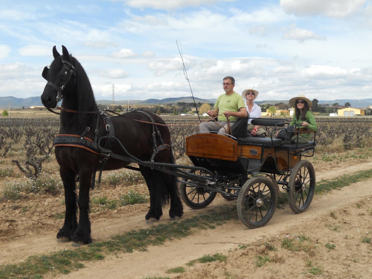 Hotel Rural Cal Ruget Vilobi Del Penedes Buitenkant foto